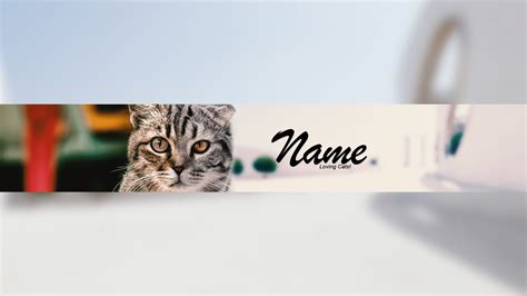 1024 x 576 cat banner.